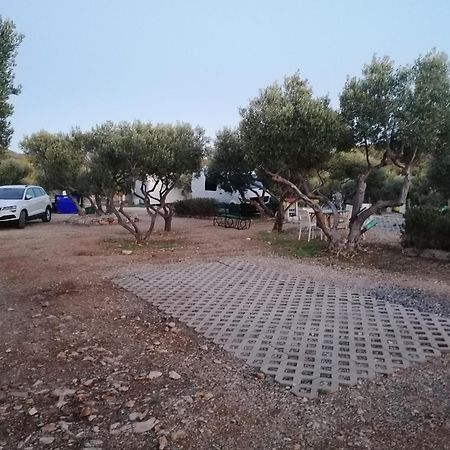Camp Kopito Hotel Hvar Town Bagian luar foto