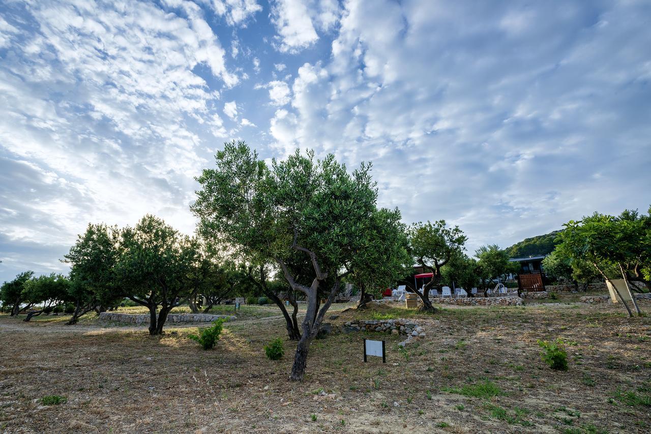 Camp Kopito Hotel Hvar Town Bagian luar foto